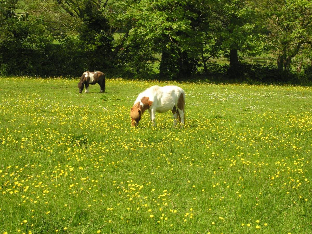 Duddings Country Cottages Minehead Luaran gambar