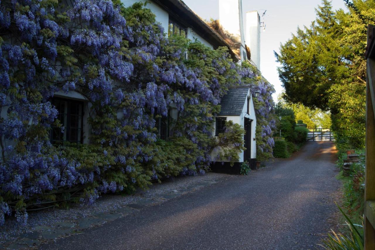 Duddings Country Cottages Minehead Luaran gambar
